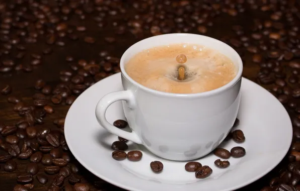 Coffee, grain, Cup, saucer, foam