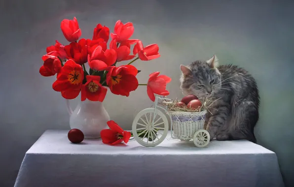 Cat, flowers, table, animal, holiday, eggs, Easter, tulips