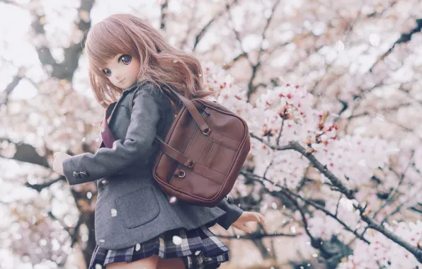 Look, tree, doll, Sakura, bag