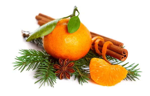 Picture holiday, spruce, branch, New Year, Christmas, citrus, cinnamon, Mandarin