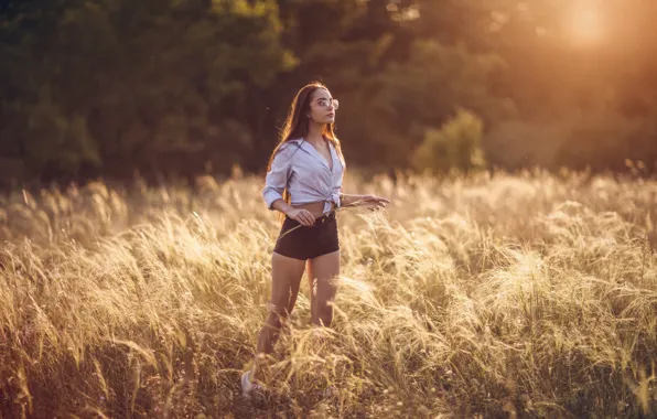 Picture trees, nature, sunset, model, women, brunette, shirt, standing