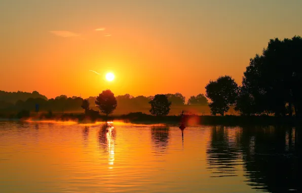 The sky, the sun, light, trees, sunset, fog, lake, pond