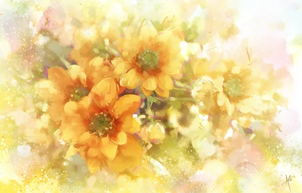 Flowers, orange, chrysanthemum