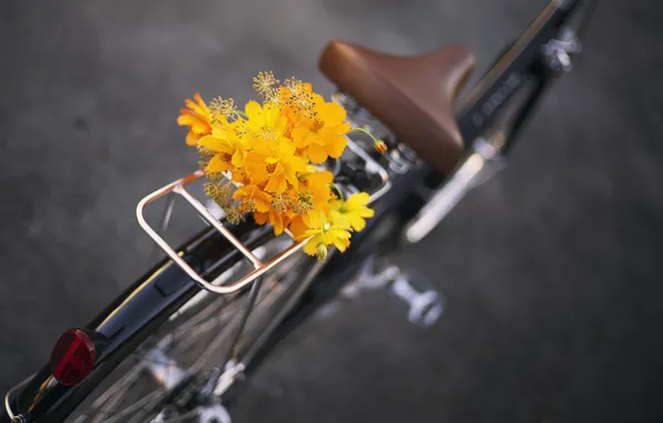 Picture flowers, bike, bouquet, bike, flowers, bouquet