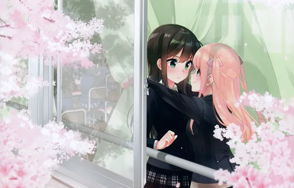 Spring, window, class, Schoolgirls, friend, embarrassment, flowering in the spring, the branches of a tree