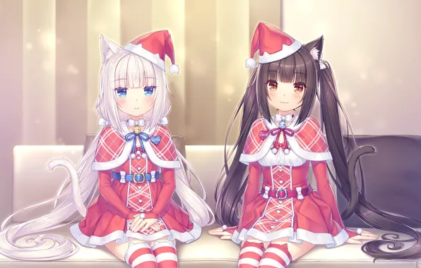 Cats, girls, Christmas, Vanilla, Chocola, Neko Paradise