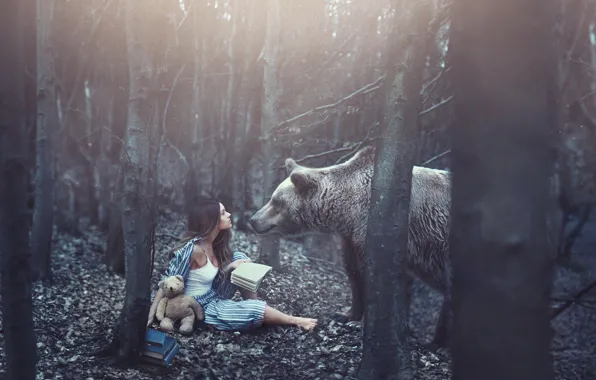 Picture forest, girl, books, bear, bear