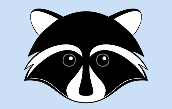Animals, nature, blue, raccoon