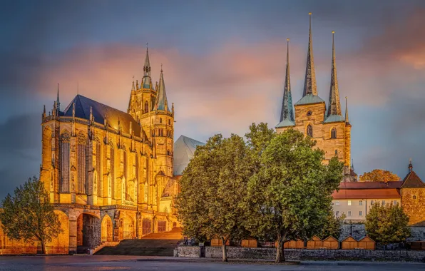 The sky, trees, Germany, area, Church, Cathedral, tower, temple