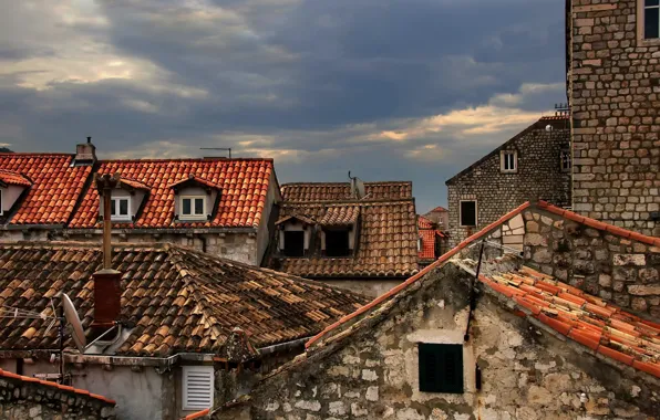 Roof, the city, home