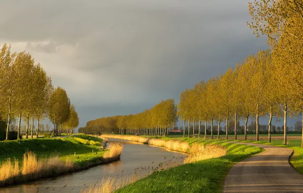 Picture Netherlands, channel, trees, nature