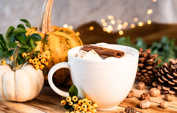 Berries, fruit, mug, pumpkin, drink, cinnamon, bumps, dessert