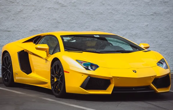 Wall, lamborghini, yellow, aventador