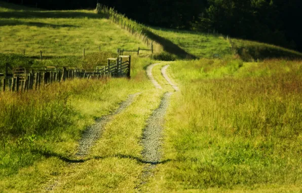 Road, field, summer, landscape, fence