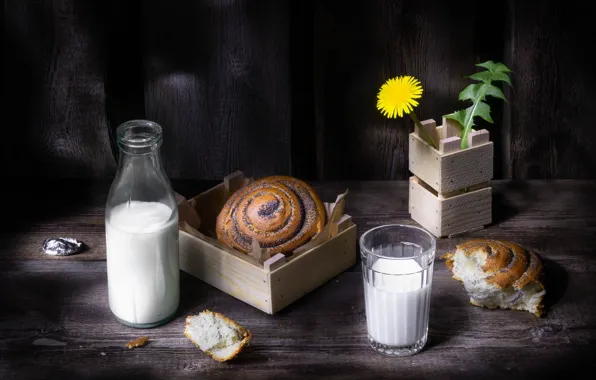 Dandelion, milk, still life, roll, bun