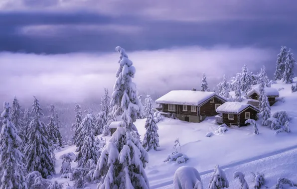 Winter, clouds, snow, trees, landscape, mountains, nature, home