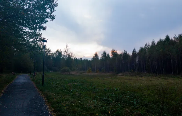 Autumn, the sky, trees, nature, Moscow, Russia, path, September