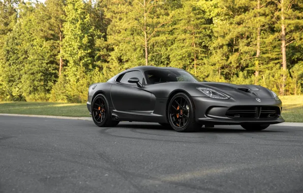 Picture Dodge, Viper, GTS, Road, Forest