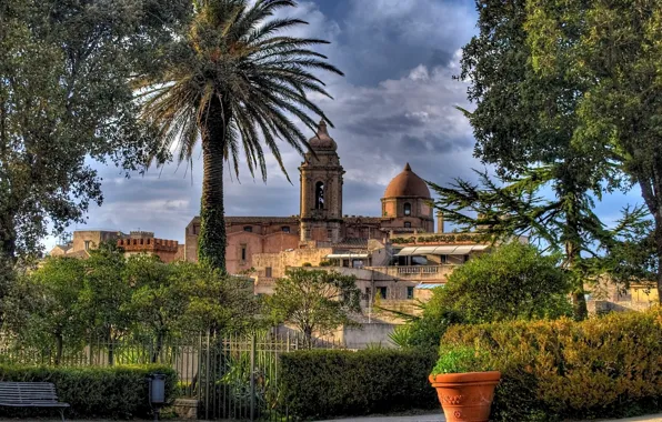 Trees, italy, sicily, church San Giuliano