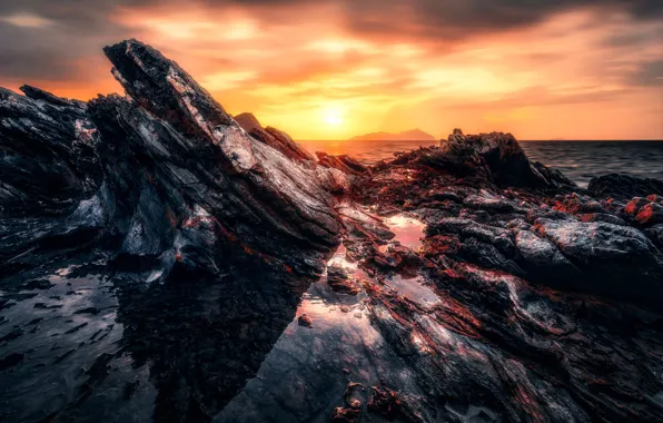 Sea, the sun, sunset, stones, rocks, shore