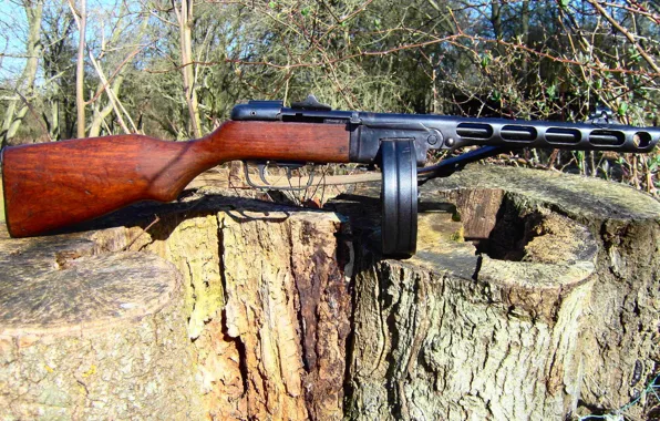 Forest, Soviet, the gun, Shpagina, PPSH-41