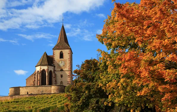 Picture autumn, trees, France, Church, France, Hunawihr, The hunawihr, Church of Saint-Jacques-Le-Mazher