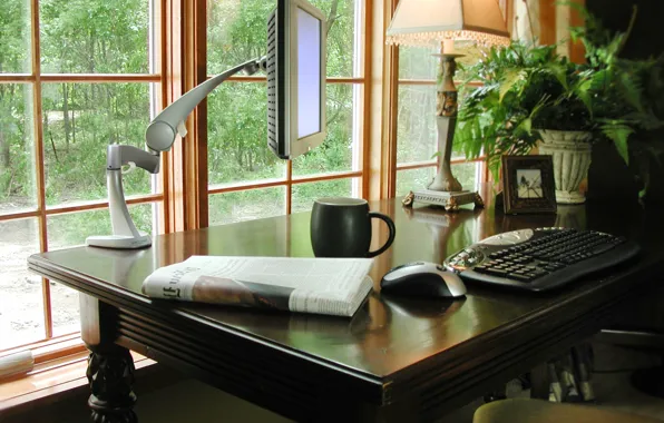 Flower, home, Cup, lamp, newspaper, desk with computer