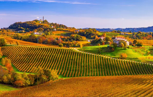 Picture Mountains, Italy, Italy, Mountains, Farra di Soligo, Veneto Prosecco, Veneto Prosecco, Farra di Soligo