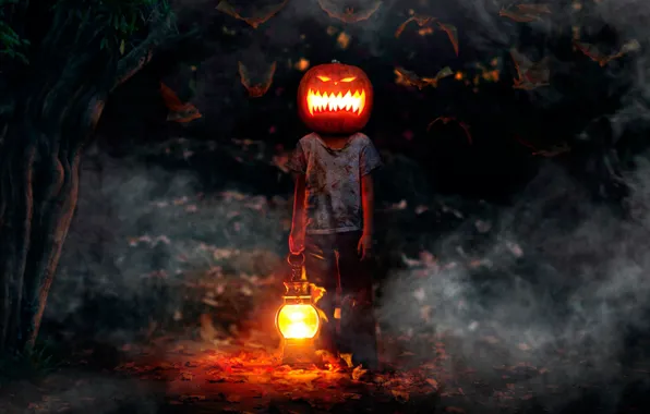 Boy, Halloween, Halloween