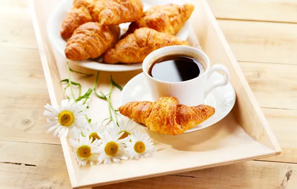 Flowers, coffee, chamomile, Breakfast, croissants