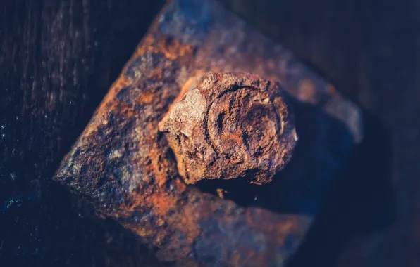 Macro, metal, bolt, rust