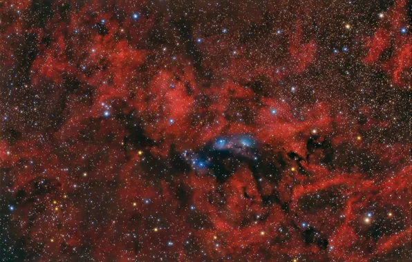 Nebula, Swan, NGC 6914, in the constellation, reflecting