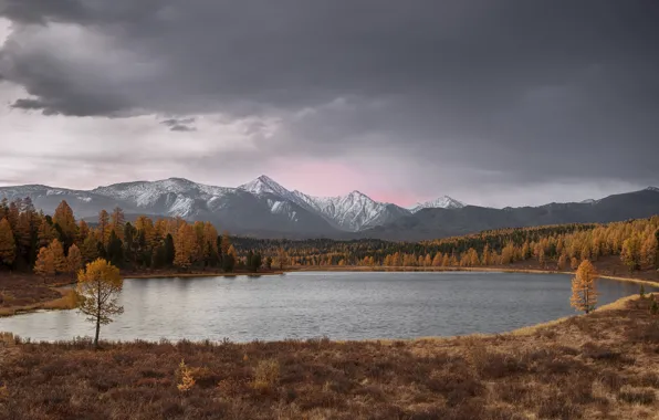 Picture autumn, Lake, Altay, Cicely