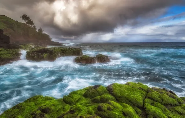 Picture sea, rocks, Hawaii, USA