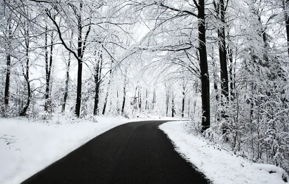 Winter, road, forest, snow