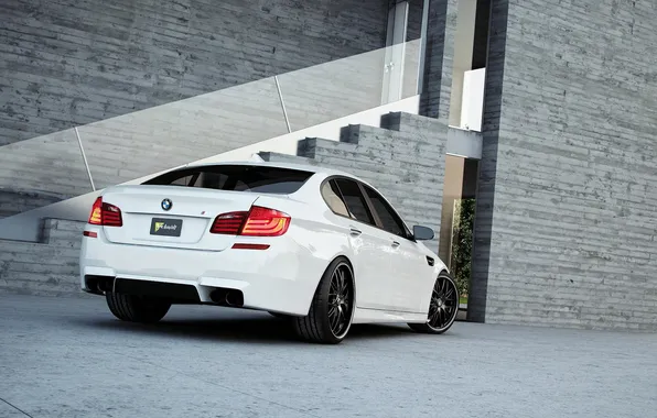 Picture white, bmw, BMW, white, rear view, f10, headlights, tinted