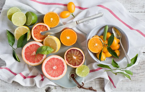 Oranges, lemons, citrus, Anna Verdina, limes
