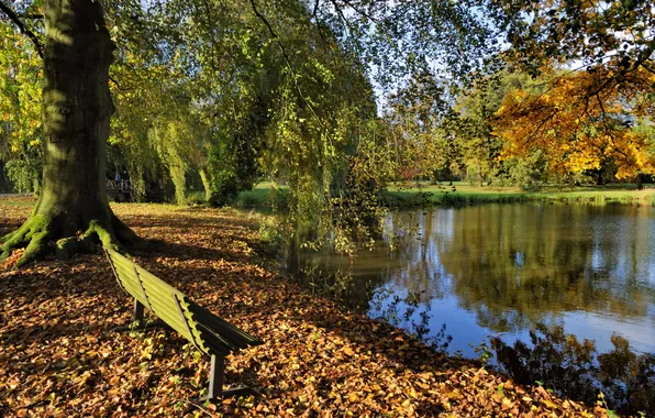 Picture autumn, Park, bench