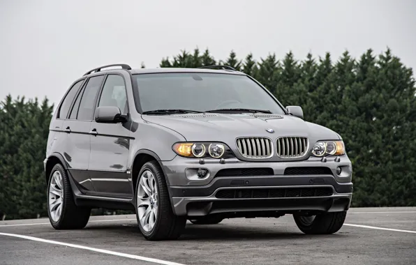 Picture BMW, BMW, crossover, E53