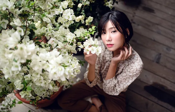 Girl, portrait, Asian