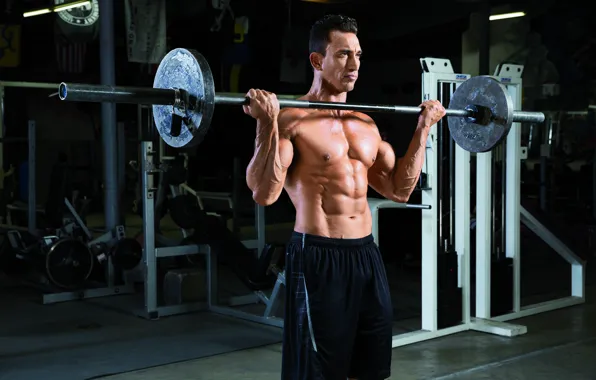 Pose, muscle, muscle, rod, athlete, biceps, gym, bodybuilder