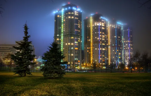 Grass, trees, night, lights, glade, ate, Moscow, Russia