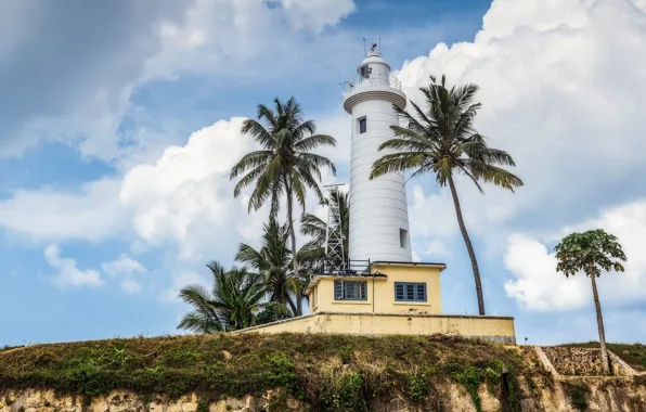 Picture the sky, clouds, palm trees, lighthouse, Sri Lanka, Galle