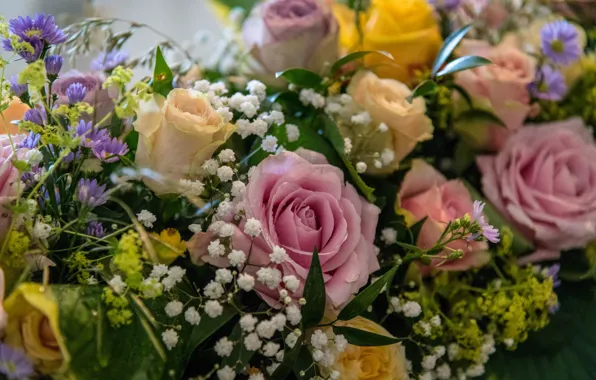 Macro, flowers, roses, bouquet, yellow, pink, different, bokeh