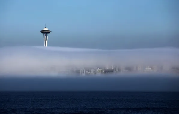 Landscape, the city, fog