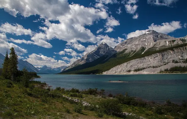 The sky, grass, clouds, trees, mountains, nature, lake, photo