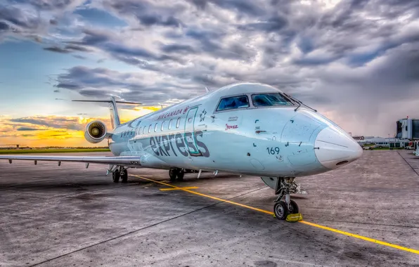 Aviation, the plane, the airfield