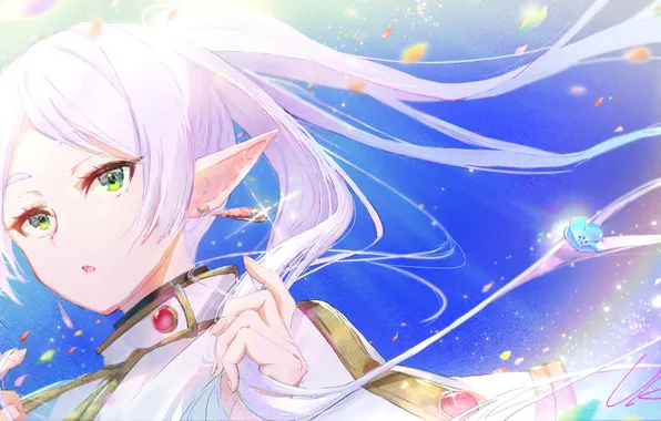 The sky, girl, flowers, elf, fantasy, Sousou no Frieren, Freeze