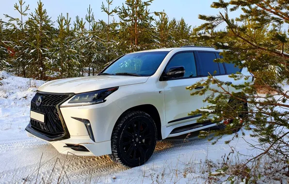 Forest, tuning, kit, Lexus LX570, Lexus LX 570