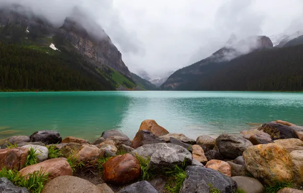 Picture forest, landscape, mountains, nature, fog, stones, shore, tops